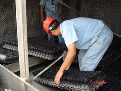 ���ϸ����ֳ�